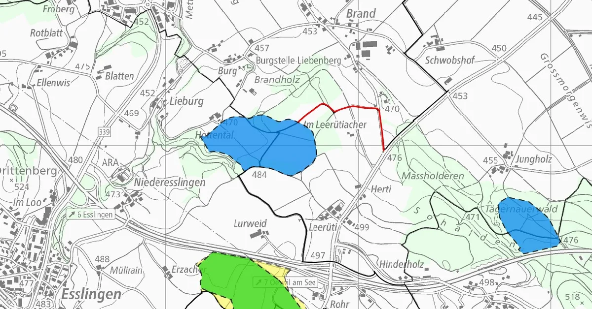 Eine Karte zeigt die drei geplanten Deponien Leerüti, Tägernauer Holz sowie Erzacher. 
